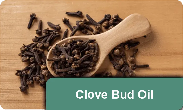 Clove Oil